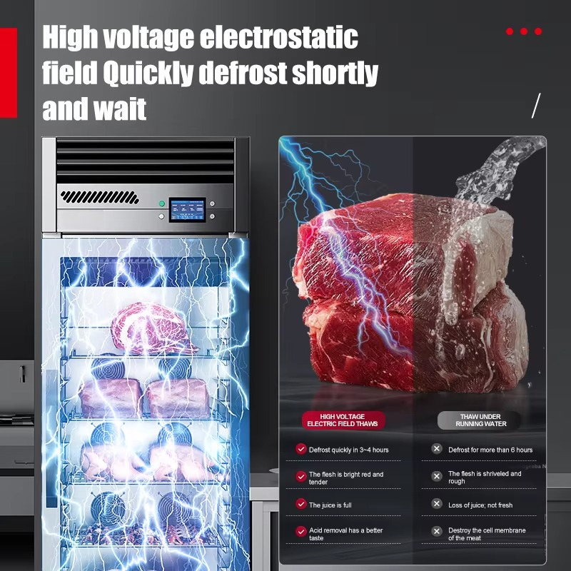 業務用厨房冷凍機器 HV静電スマート解凍庫（牛肉、羊肉、豚肉 - Commercial Kitchen Refrigerator のレビューと価格