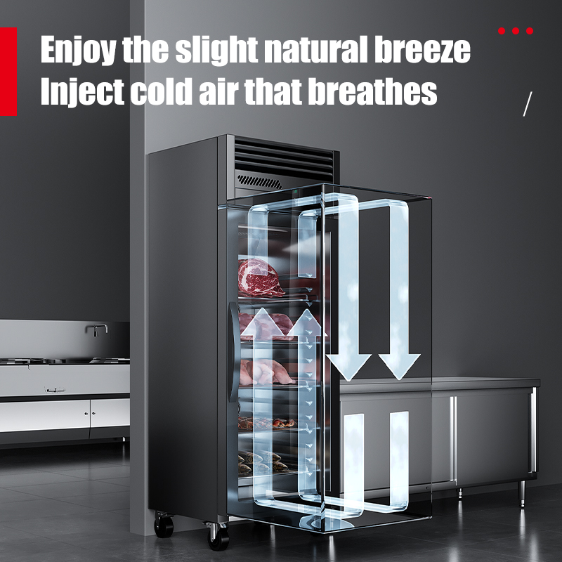 業務用厨房冷凍機器 HV静電スマート解凍庫（牛肉、羊肉、豚肉 - Commercial Kitchen Refrigerator のレビューと価格