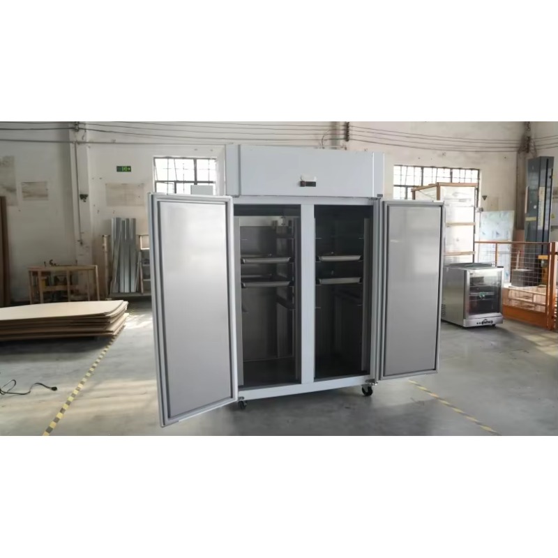 業務用冷蔵庫 レストラン冷凍庫 ステンレス製アップライトフリ - Commercial Kitchen Refrigerator のレビューと価格