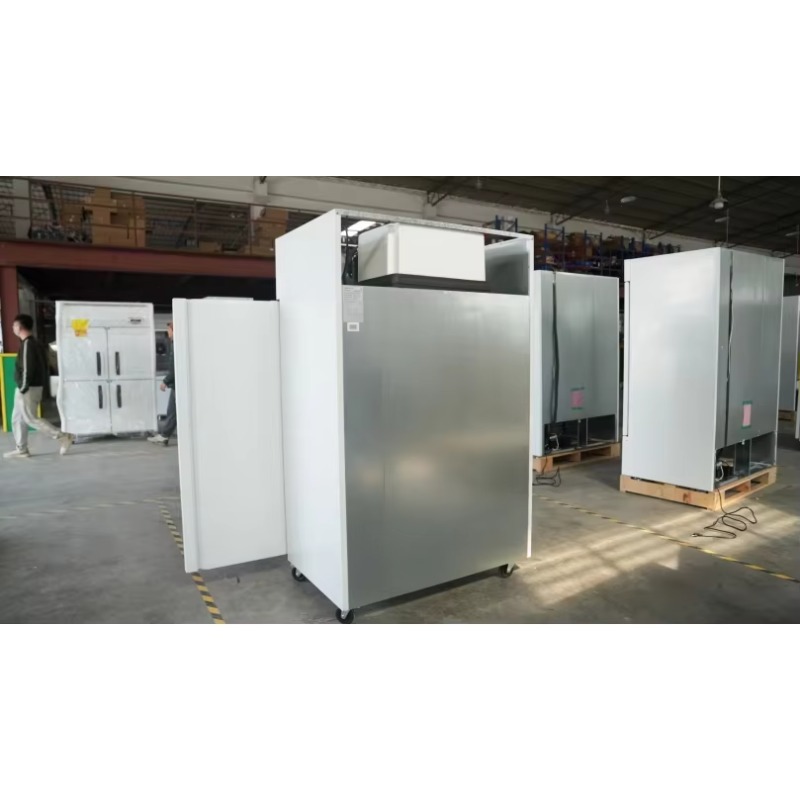業務用冷蔵庫 レストラン冷凍庫 ステンレス製アップライトフリ - Commercial Kitchen Refrigerator のレビューと価格